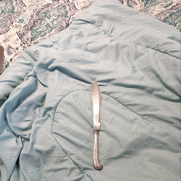 WEBSTER STERLING CAKE KNIFE CIR.1910 - Picture 2 of 5